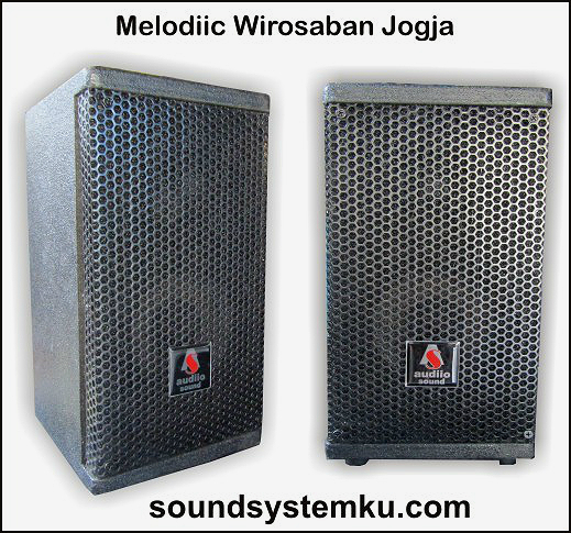Speaker Pasif 6 inch Audiio Sound