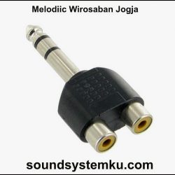 Jack RCA to Toa Stereo
