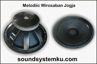 Speaker 18 inch Wisdom L18 P300