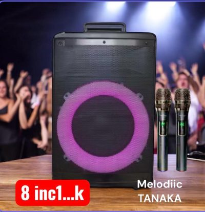 Speaker Meeting Tanaka 8 Inch