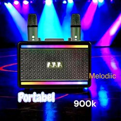 Speaker Bluetooth Tanaka T8008 Karaoke