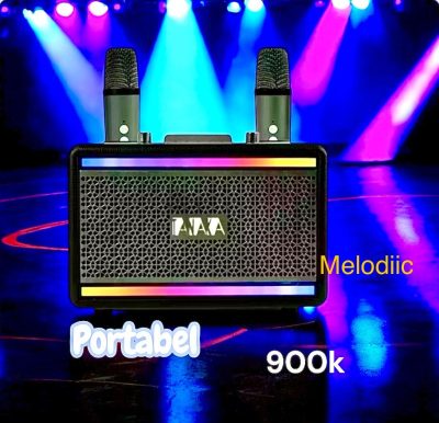Speaker Bluetooth Tanaka T8008 Karaoke